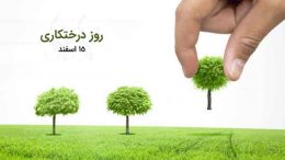 هر دانش آموز یک نهال آماده پرورش